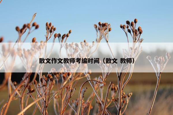 散文作文教师考编时间（散文 教师）
