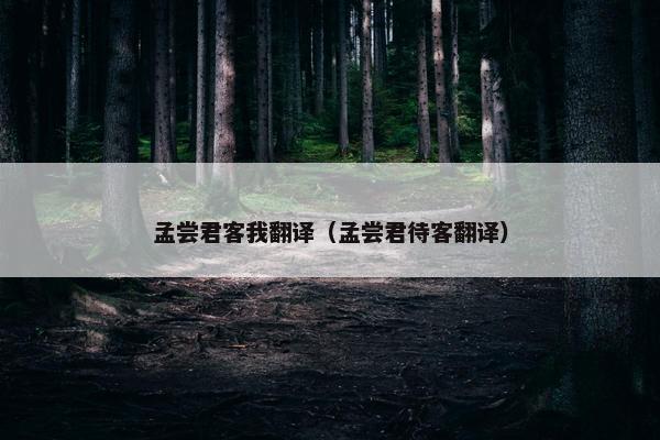 孟尝君客我翻译（孟尝君待客翻译）