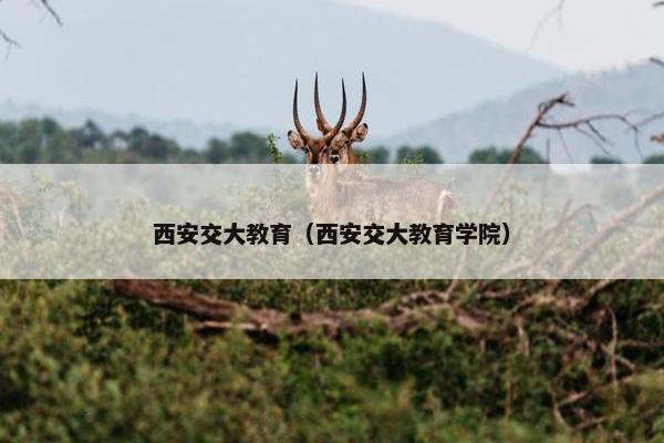 西安交大教育（西安交大教育学院）