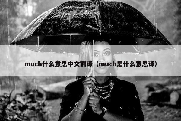much什么意思中文翻译（much是什么意思译）