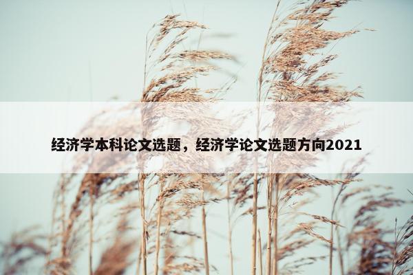 经济学本科论文选题，经济学论文选题方向2021