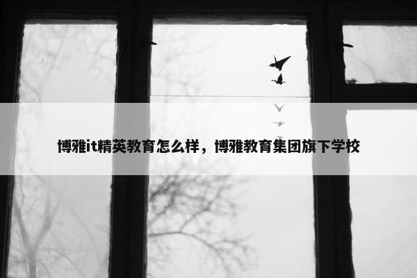 博雅it精英教育怎么样，博雅教育集团旗下学校