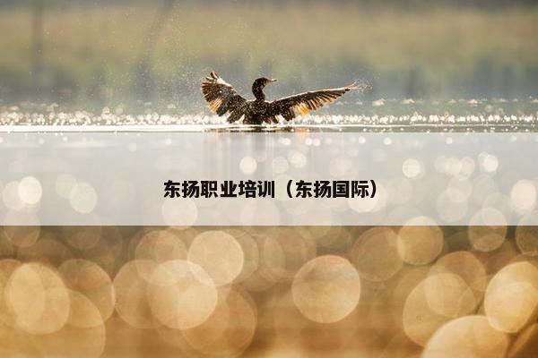 东扬职业培训（东扬国际）