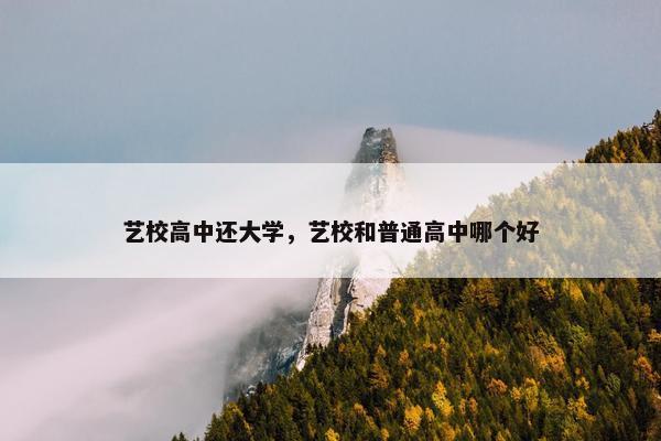 艺校高中还大学，艺校和普通高中哪个好