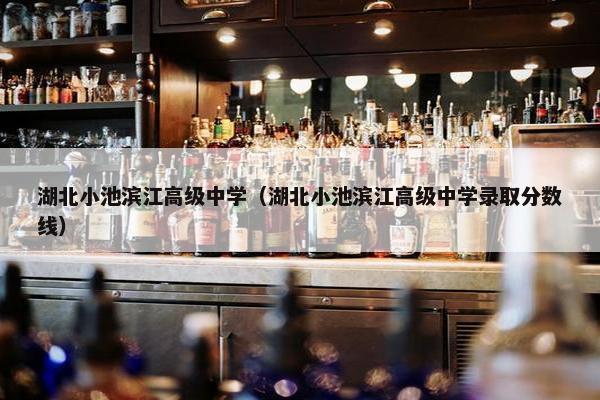 湖北小池滨江高级中学（湖北小池滨江高级中学录取分数线）