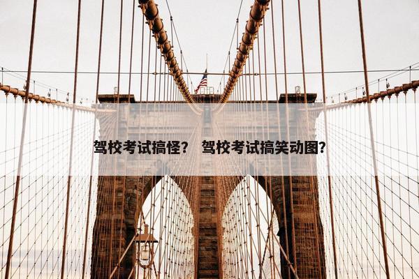 驾校考试搞怪？ 驾校考试搞笑动图？