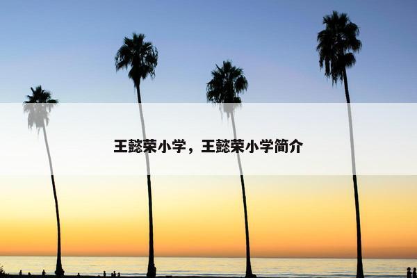 王懿荣小学，王懿荣小学简介