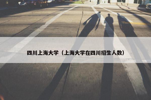 四川上海大学（上海大学在四川招生人数）