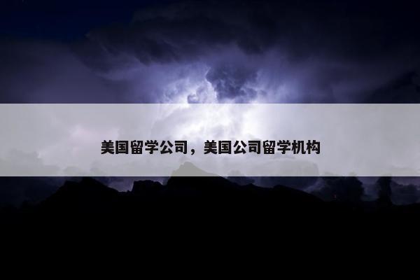 美国留学公司，美国公司留学机构