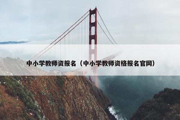 中小学教师资报名（中小学教师资格报名官网）