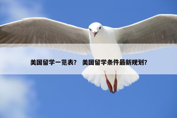 美国留学一览表？ 美国留学条件最新规划？
