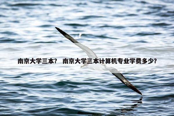 南京大学三本？ 南京大学三本计算机专业学费多少？