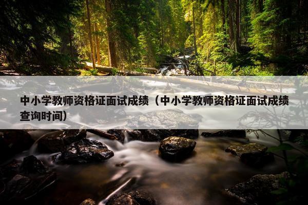 中小学教师资格证面试成绩（中小学教师资格证面试成绩查询时间）