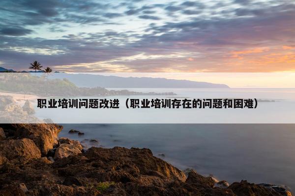 职业培训问题改进（职业培训存在的问题和困难）