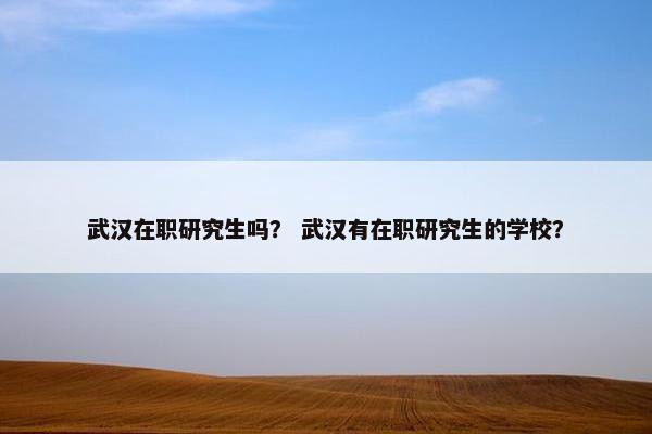 武汉在职研究生吗？ 武汉有在职研究生的学校？