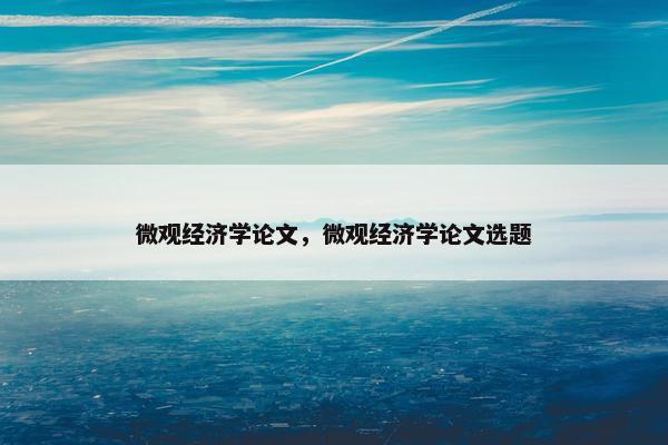 微观经济学论文，微观经济学论文选题