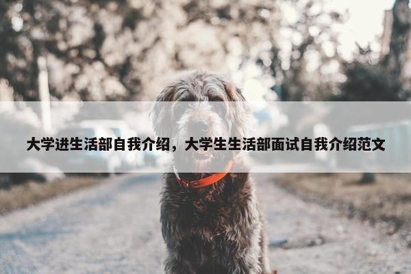 大学进生活部自我介绍，大学生生活部面试自我介绍范文