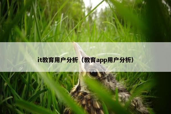 it教育用户分析（教育app用户分析）