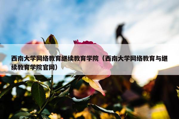 西南大学网络教育继续教育学院（西南大学网络教育与继续教育学院官网）