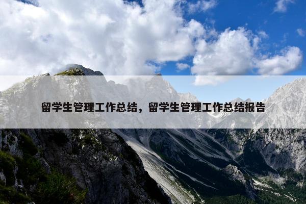留学生管理工作总结，留学生管理工作总结报告