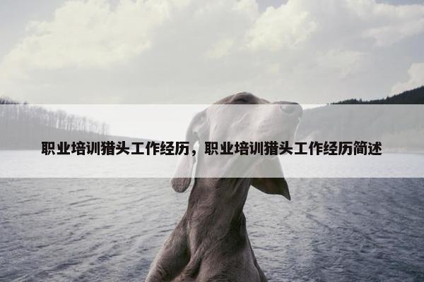 职业培训猎头工作经历，职业培训猎头工作经历简述