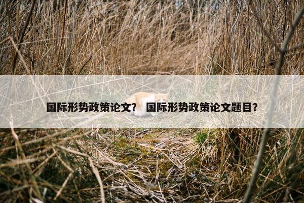 国际形势政策论文？ 国际形势政策论文题目？