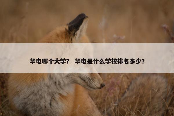 华电哪个大学？ 华电是什么学校排名多少？