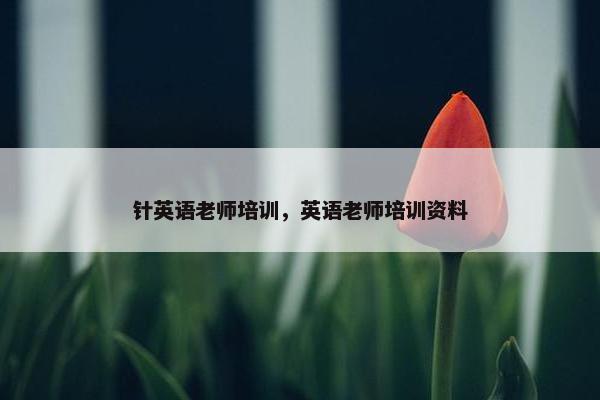 针英语老师培训，英语老师培训资料