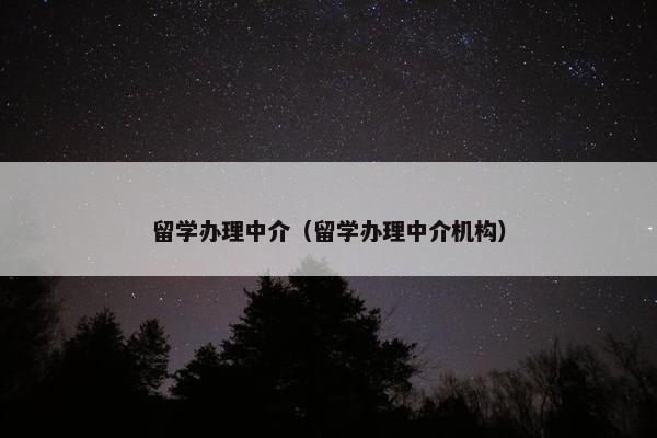 留学办理中介（留学办理中介机构）