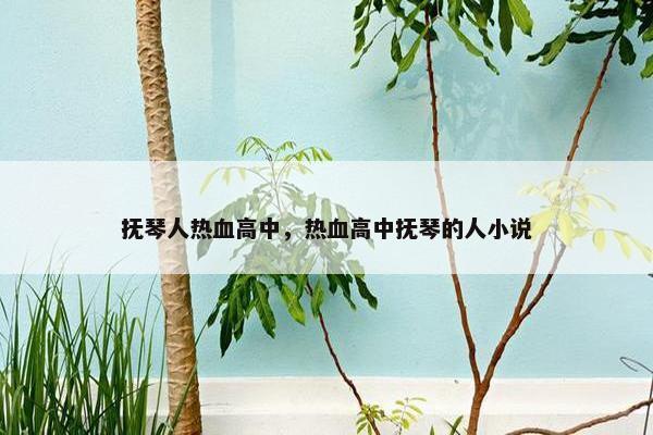 抚琴人热血高中，热血高中抚琴的人小说