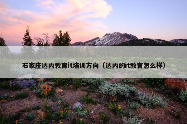 石家庄达内教育it培训方向（达内的it教育怎么样）