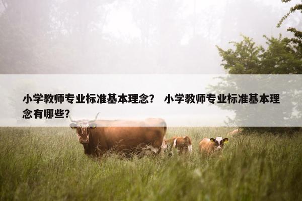 小学教师专业标准基本理念？ 小学教师专业标准基本理念有哪些？