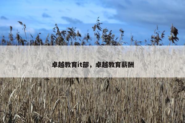 卓越教育it部，卓越教育薪酬