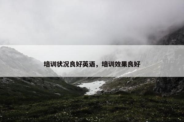 培训状况良好英语，培训效果良好