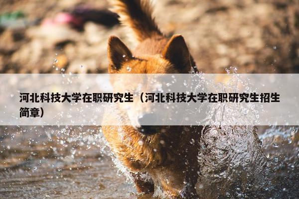 河北科技大学在职研究生（河北科技大学在职研究生招生简章）