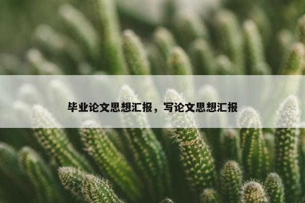 毕业论文思想汇报，写论文思想汇报