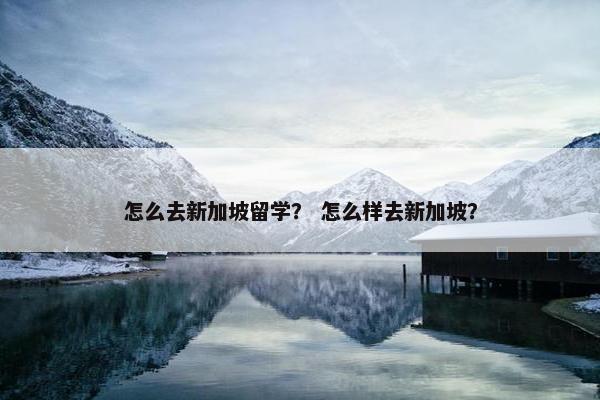 怎么去新加坡留学？ 怎么样去新加坡？