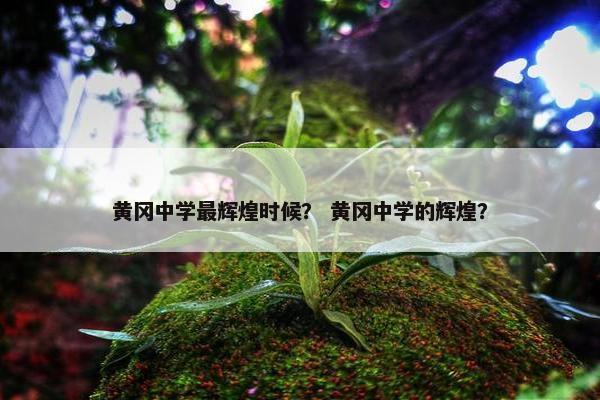 黄冈中学最辉煌时候？ 黄冈中学的辉煌？