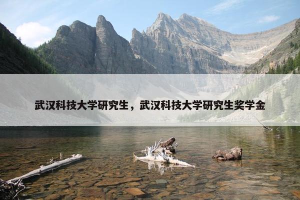 武汉科技大学研究生，武汉科技大学研究生奖学金