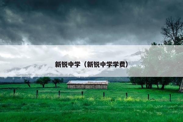新锐中学（新锐中学学费）
