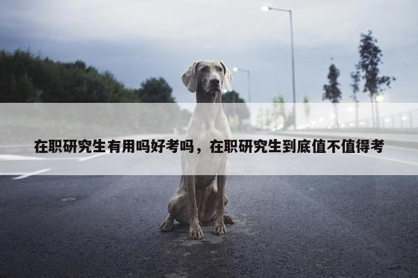 在职研究生有用吗好考吗，在职研究生到底值不值得考