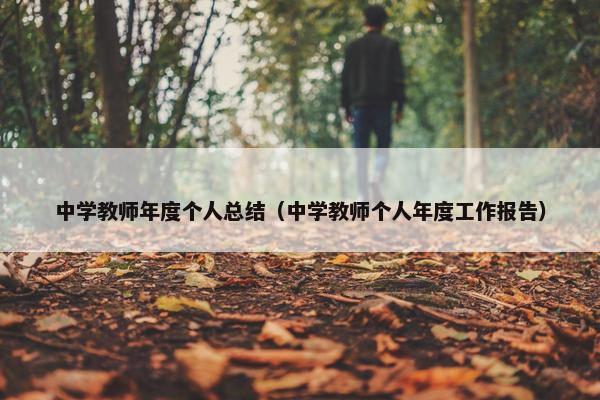 中学教师年度个人总结（中学教师个人年度工作报告）