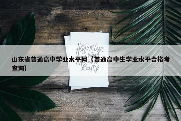 山东省普通高中学业水平网（普通高中生学业水平合格考查询）