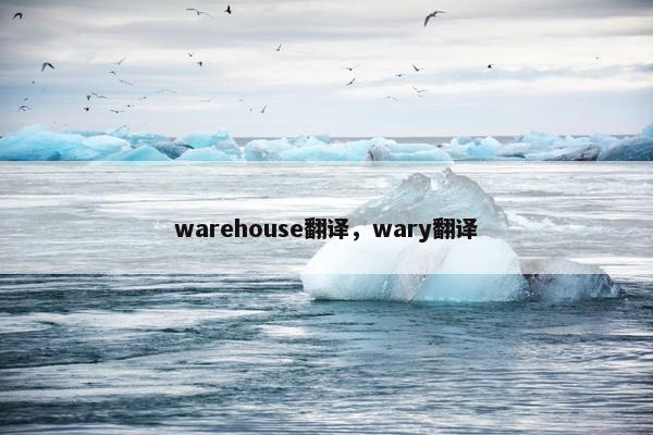 warehouse翻译，wary翻译