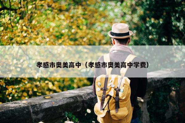 孝感市奥美高中（孝感市奥美高中学费）