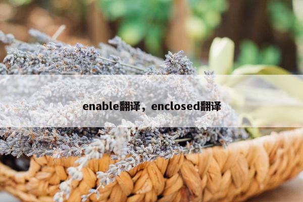 enable翻译，enclosed翻译
