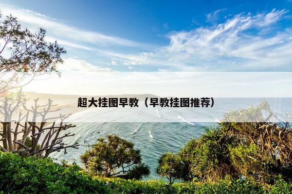 超大挂图早教（早教挂图推荐）