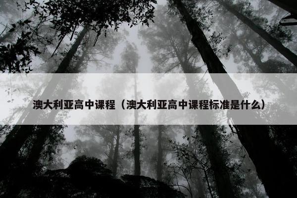 澳大利亚高中课程（澳大利亚高中课程标准是什么）