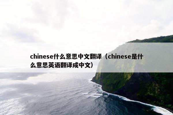 chinese什么意思中文翻译（chinese是什么意思英语翻译成中文）