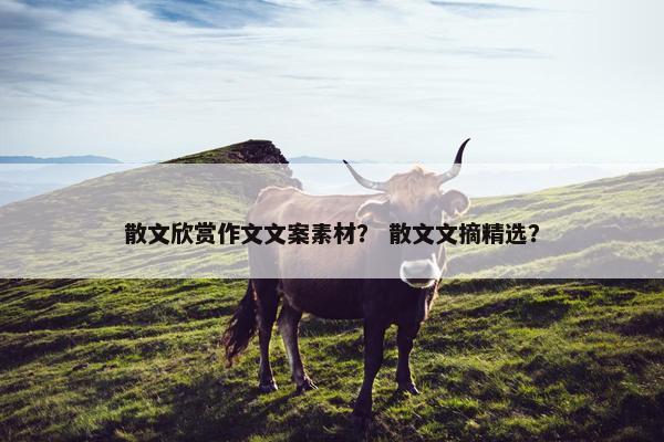 散文欣赏作文文案素材？ 散文文摘精选？